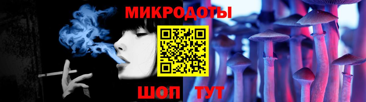 Псилоцибиновые грибы Psilocybine cubensis Торжок